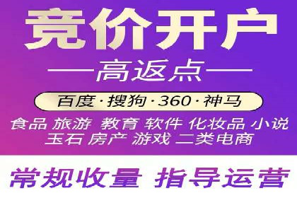 竞价推广策略解析：实战案例分析